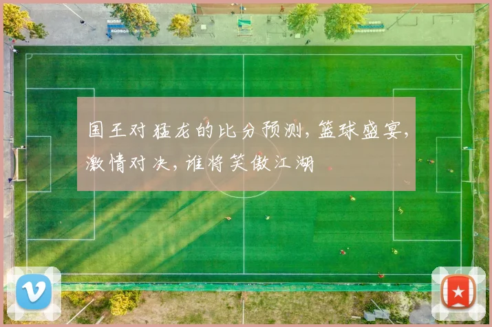 国王对猛龙的比分预测,篮球盛宴,激情对决,谁将笑傲江湖